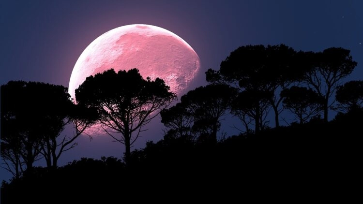Večeras je ružičasti pun Mjesec: Kako će utjecati na svaki horoskopski znak?